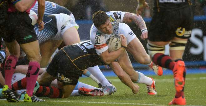 Tavis Knoyle Dragons