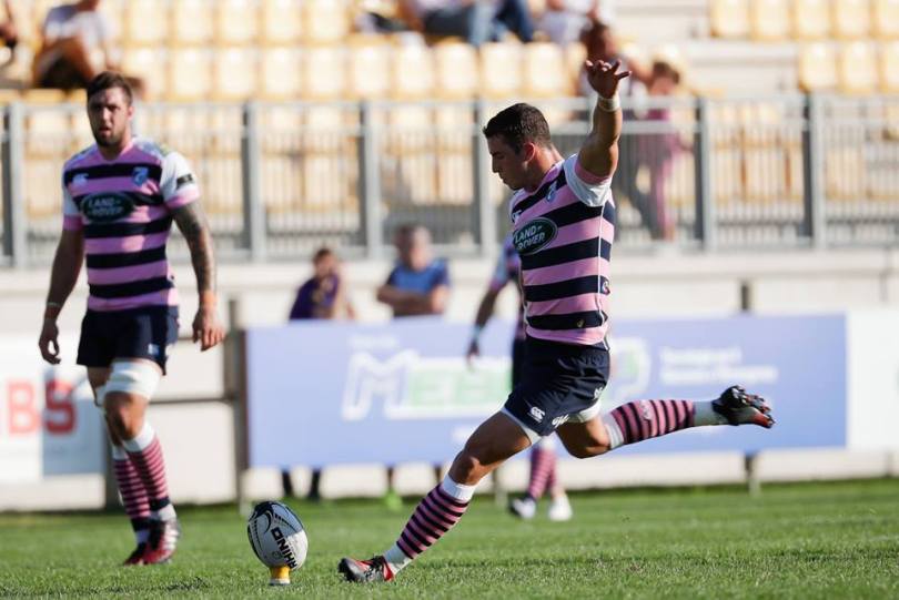 steve-shingler-zebre