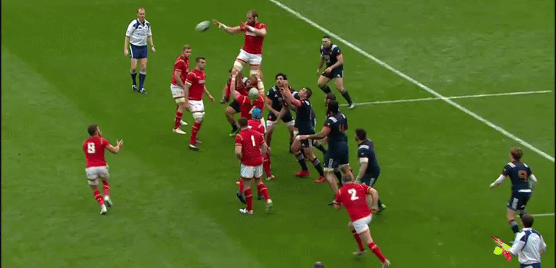 France First Phase 1