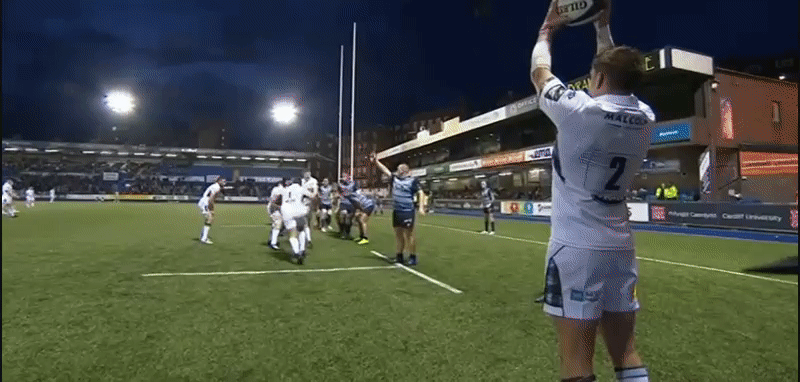 Glasgow Navidi tail 2