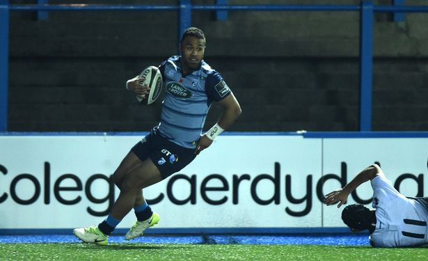 Willis Halaholo Zebre