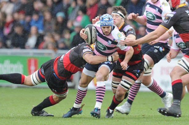 Matthew Morgan Dragons