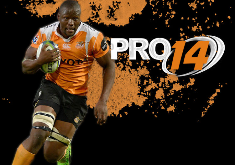 Cheetahs Pro14