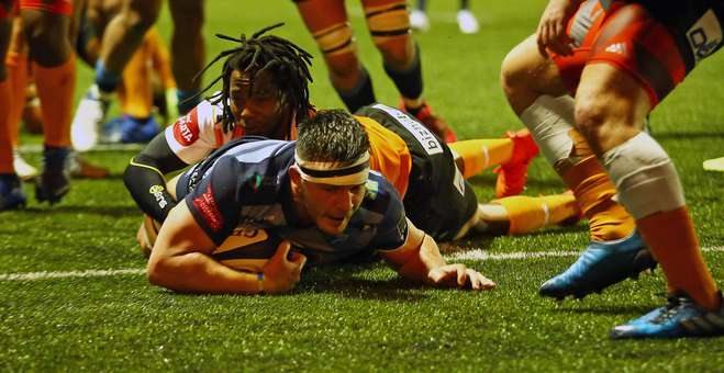 Ellis Jenkins Cheetahs