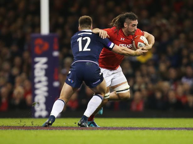 Josh Navidi Scotland