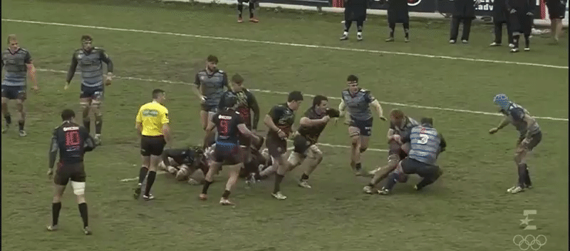 Zebre A back row analysis 11