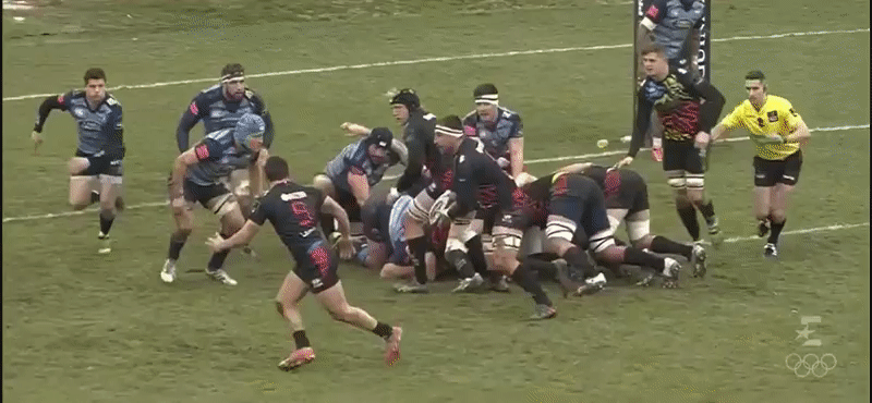 Zebre A back row analysis 2