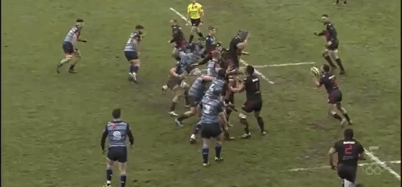Zebre A back row analysis 6