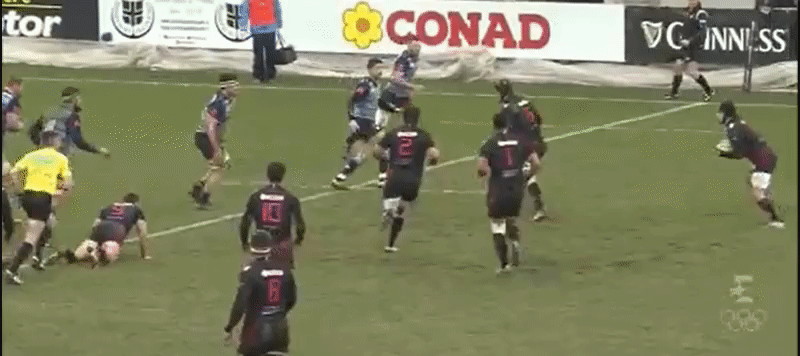 Zebre A back row analysis 7