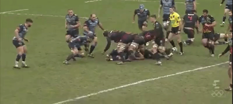 Zebre A back row analysis 9