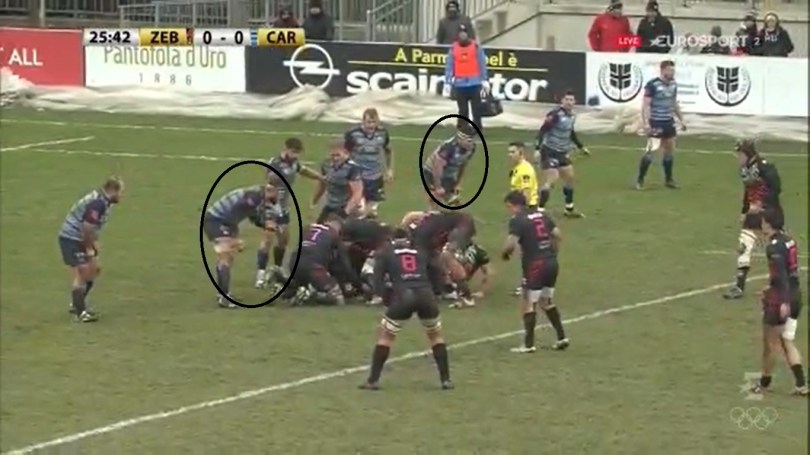 Zebre Back Row 5