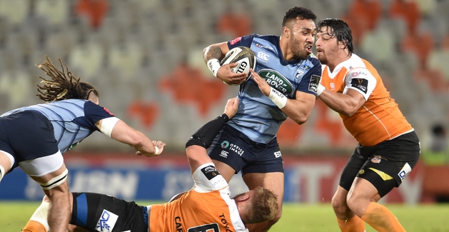 Willis Halaholo Cheetahs 2