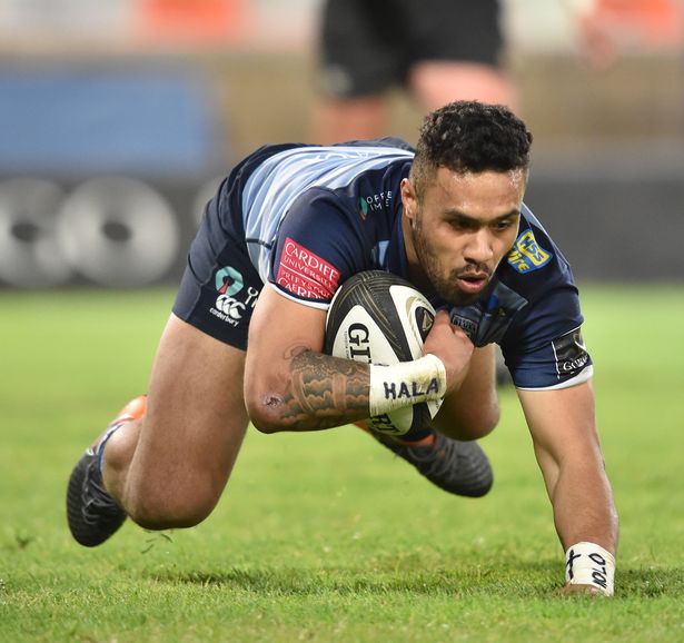 Willis Halaholo Cheetahs 3