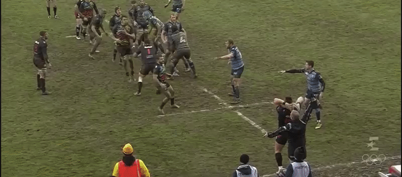 Zebre A Josh Turnbull lineout steal