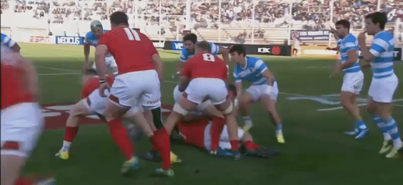 Argentina GIF analysis 1