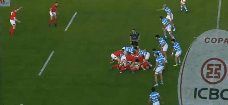 Argentina GIF analysis 11