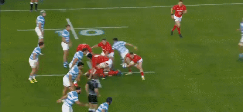 Argentina GIF analysis 12