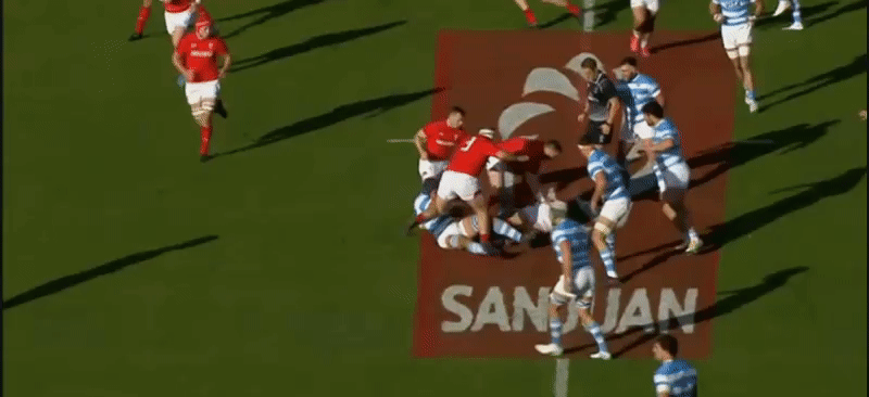 Argentina GIF analysis 3