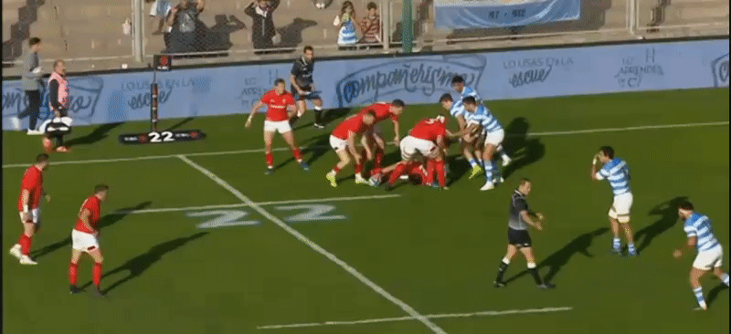 Argentina GIF analysis 5