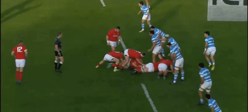 Argentina GIF analysis 9