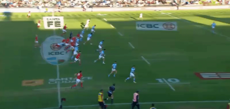 Pumas analysis GIF 1