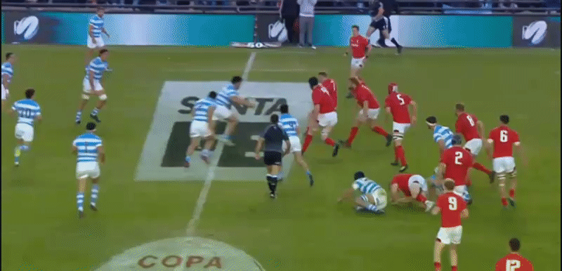 Pumas analysis GIF 10