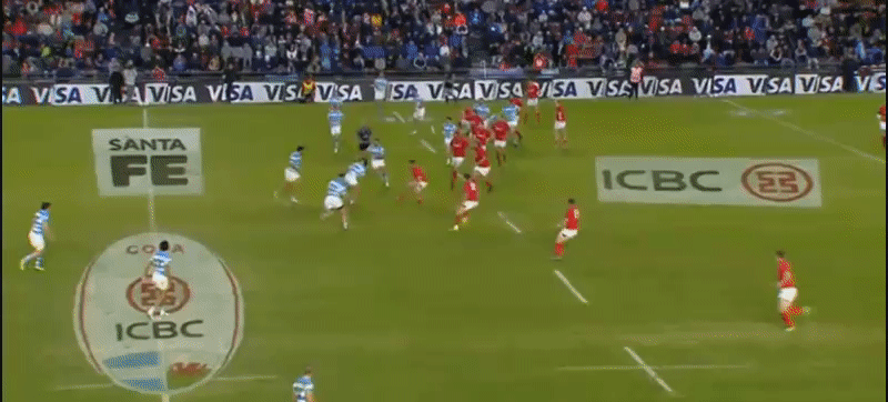 Pumas analysis GIF 11