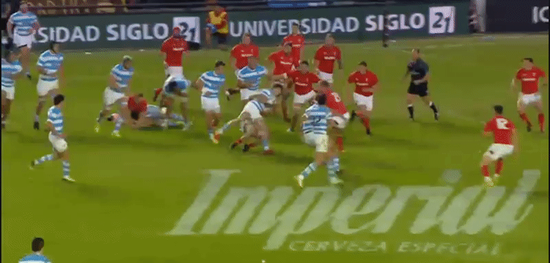 Pumas analysis GIF 14