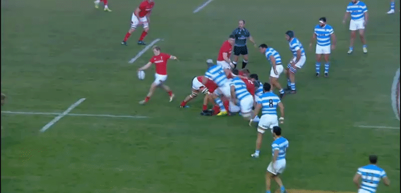 Pumas analysis GIF 4