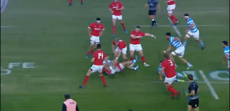 Pumas analysis GIF 5