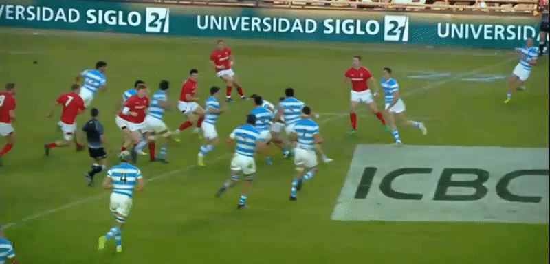 Pumas analysis GIF 7