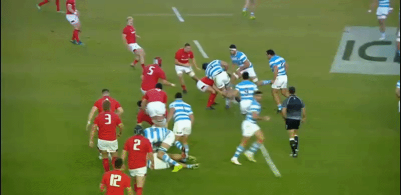 Pumas analysis GIF 8