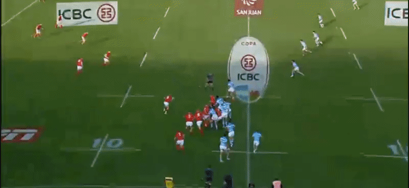 Argentina GIF analysis 7