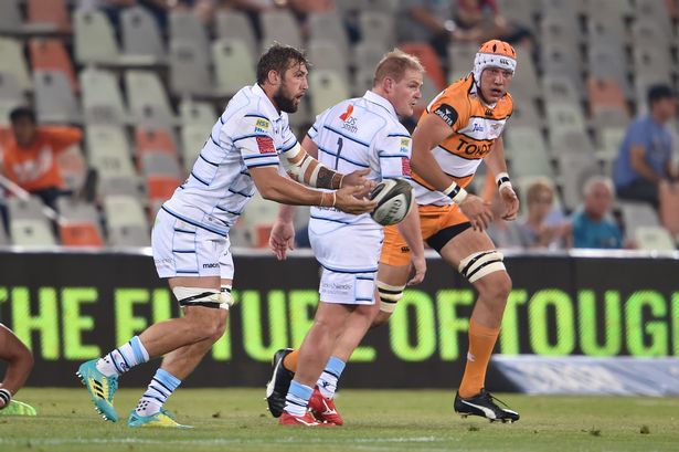Josh Turnbull Cheetahs