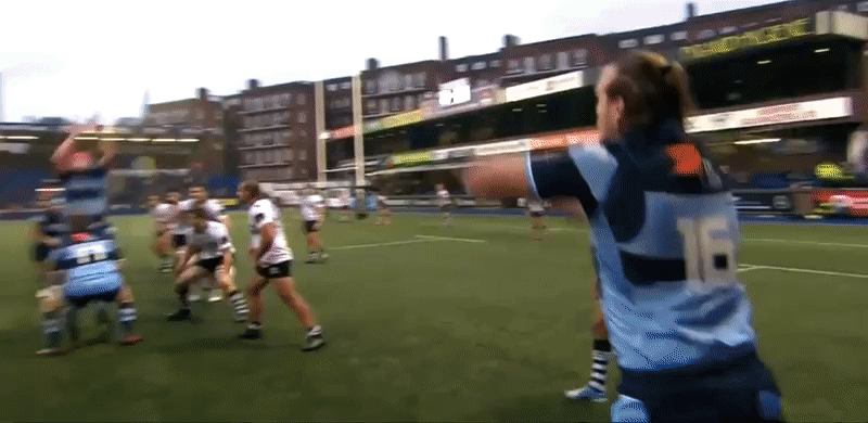 Lineout analysis 5