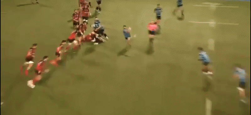 Ben Thomas analysis 1