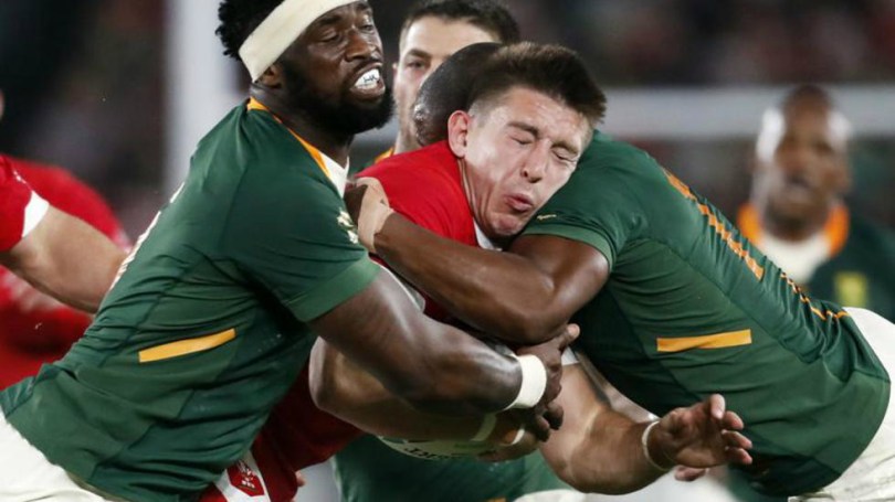 Josh Adams South Africa