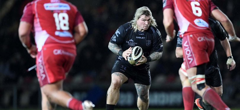 Richard Hibbard Dragons.jpg
