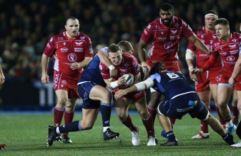 Hadleigh Parkes Scarlets.jpg