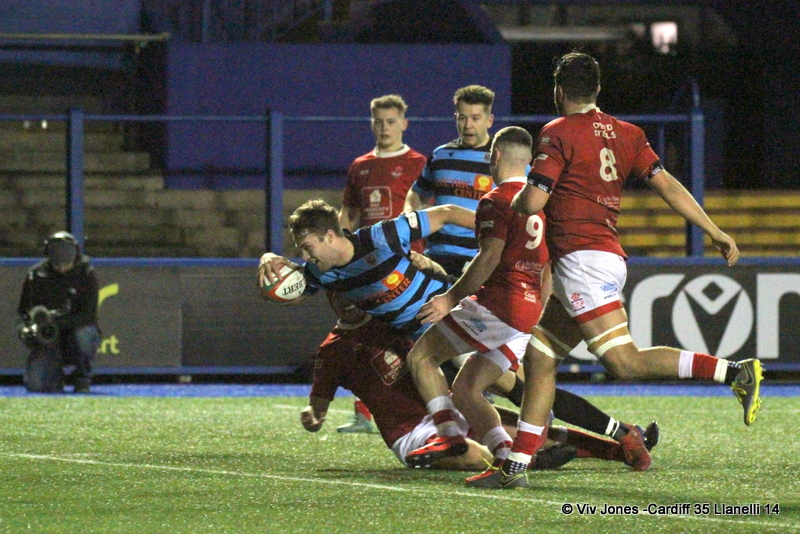 Max Llewellyn Llanelli RFC